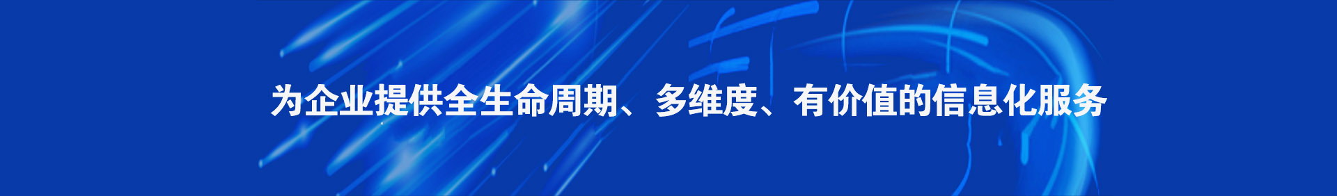 兰州赛通网络软件有限公司